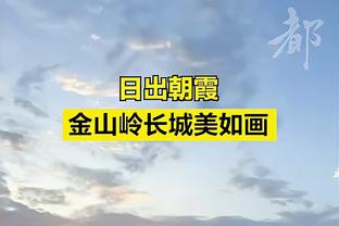 记者：凯恩、萨卡、亨德森、帕尔默今日进行个人训练